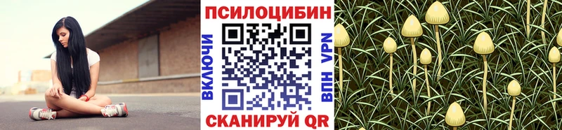 Псилоцибиновые грибы GOLDEN TEACHER Бердск